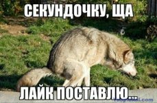 59a0a708eff295e5fe937917a9d3c9ee.jpg