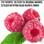 etocheburek.jpg