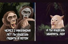 evilutsiya.jpg