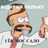 Хохол